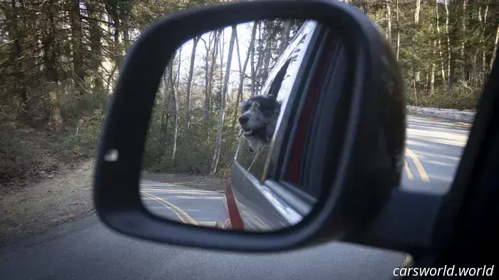 We Crammed Six Dogs into a 2025 Volkswagen ID Buzz and It Was a Hit with Everyone.