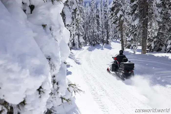Andar En Moto De Nieve Por Yellowstone Es Difícil, Pero Vale La Pena Congelarse