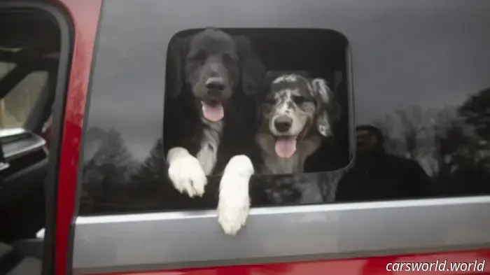 We Crammed Six Dogs into a 2025 Volkswagen ID Buzz and It Was a Hit with Everyone.