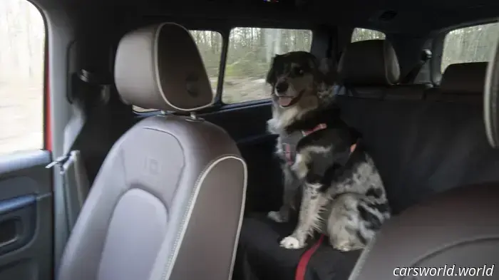 We Crammed Six Dogs into a 2025 Volkswagen ID Buzz and It Was a Hit with Everyone.