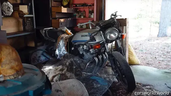 E ' la collezione di auto di un tipo strano o una discarica per frodi assicurative?
