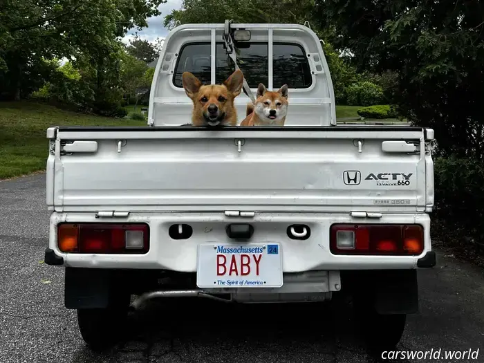 Dogs Accompanying Kei Cars Created This Adorable Family Photograph