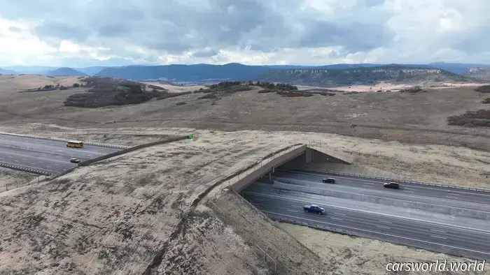 Colorado Constructed an Overpass for Wildlife to Enhance Safety