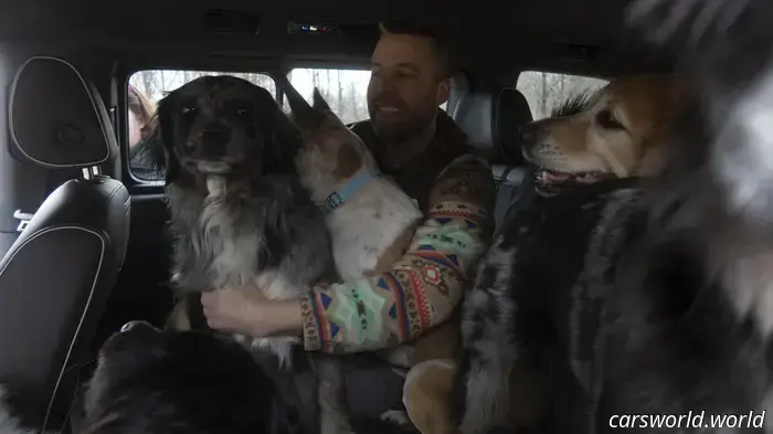 We Crammed Six Dogs into a 2025 Volkswagen ID Buzz and It Was a Hit with Everyone.