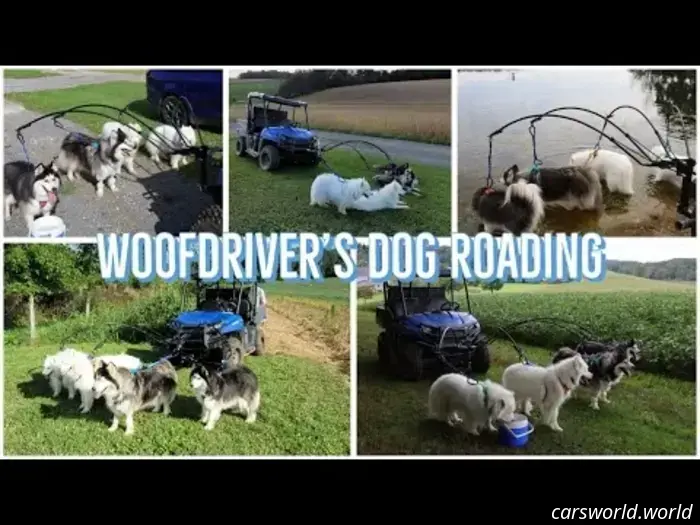 This dog trainer boasts an amazing collection of vehicles specifically designed for dogs.