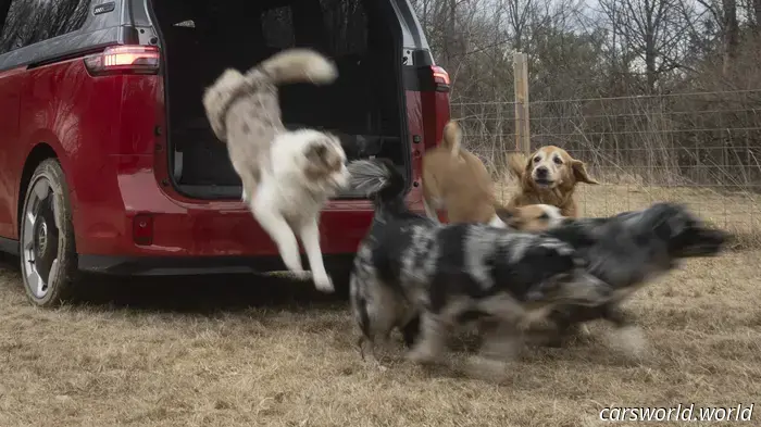 We Crammed Six Dogs into a 2025 Volkswagen ID Buzz and It Was a Hit with Everyone.