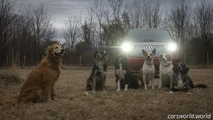 We Crammed Six Dogs into a 2025 Volkswagen ID Buzz and It Was a Hit with Everyone.