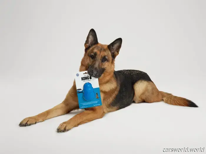 Questo simpatico nuovo cane giocattolo sarà abbinare il vostro VW ID Buzz, e servire una buona causa