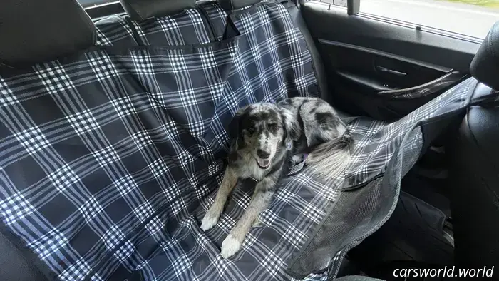 Dog and Dirt Proven: A Year of Rugged Use with Canvasback Car Seat Covers