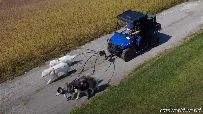 This dog trainer boasts an amazing collection of vehicles specifically designed for dogs.