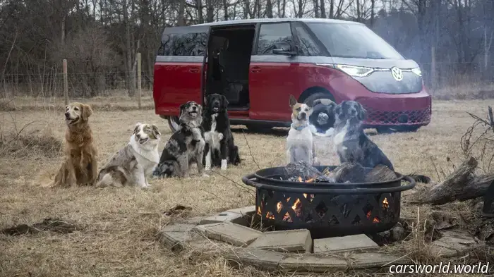 We Crammed Six Dogs into a 2025 Volkswagen ID Buzz and It Was a Hit with Everyone.