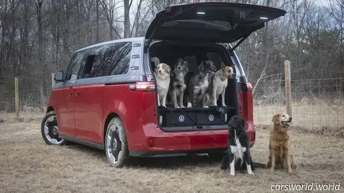 We Crammed Six Dogs into a 2025 Volkswagen ID Buzz and It Was a Hit with Everyone.
