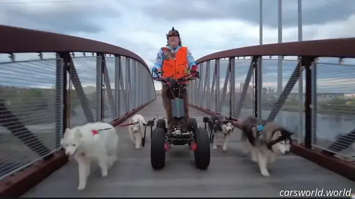 This dog trainer boasts an amazing collection of vehicles specifically designed for dogs.