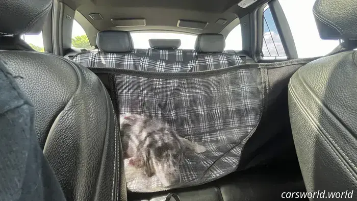Dog and Dirt Proven: A Year of Rugged Use with Canvasback Car Seat Covers