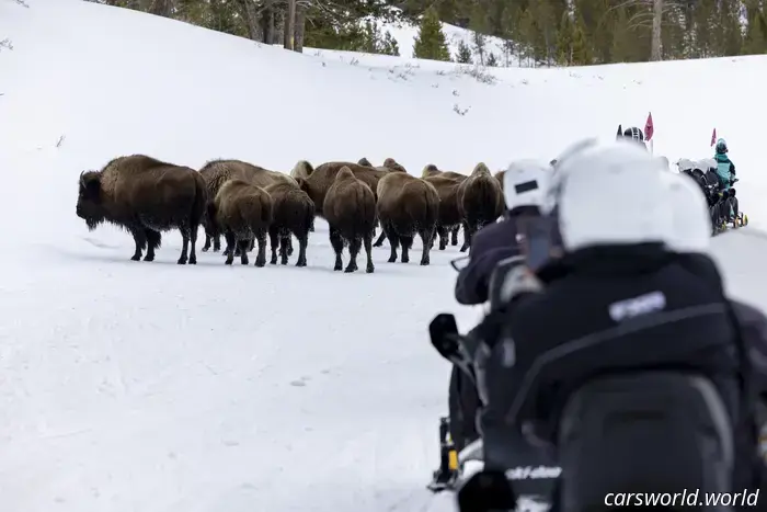 Andar En Moto De Nieve Por Yellowstone Es Difícil, Pero Vale La Pena Congelarse