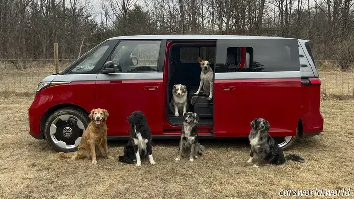 We Crammed Six Dogs into a 2025 Volkswagen ID Buzz and It Was a Hit with Everyone.