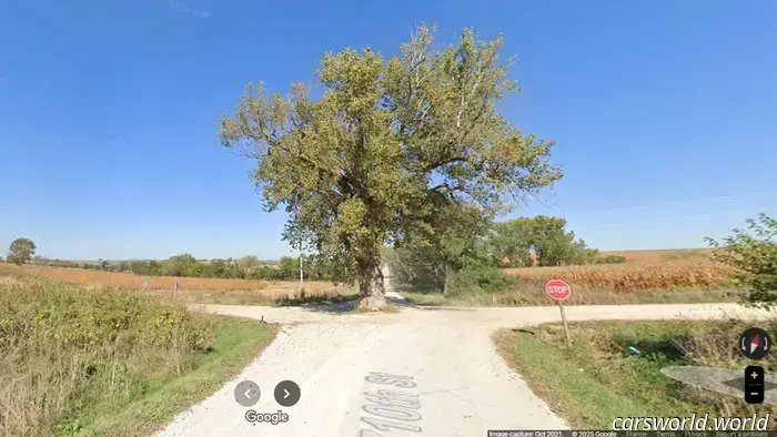 L'incrocio con un enorme albero nel mezzo è il modo in cui l'Iowa rurale gestisce le rotatorie