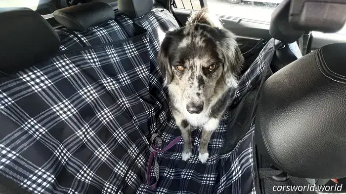 Dog and Dirt Proven: A Year of Rugged Use with Canvasback Car Seat Covers