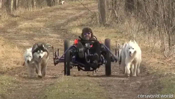 This dog trainer boasts an amazing collection of vehicles specifically designed for dogs.