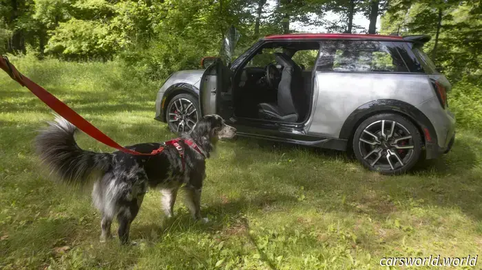 Обзор Mini Cooper JCW 2025: плюсы и минусы — приятно водить, раздражает жить с этим
