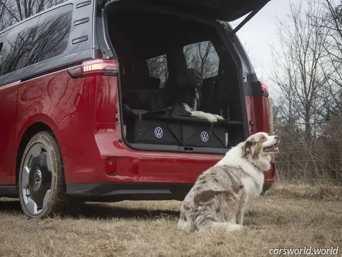 We Crammed Six Dogs into a 2025 Volkswagen ID Buzz and It Was a Hit with Everyone.