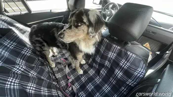 Dog and Dirt Proven: A Year of Rugged Use with Canvasback Car Seat Covers