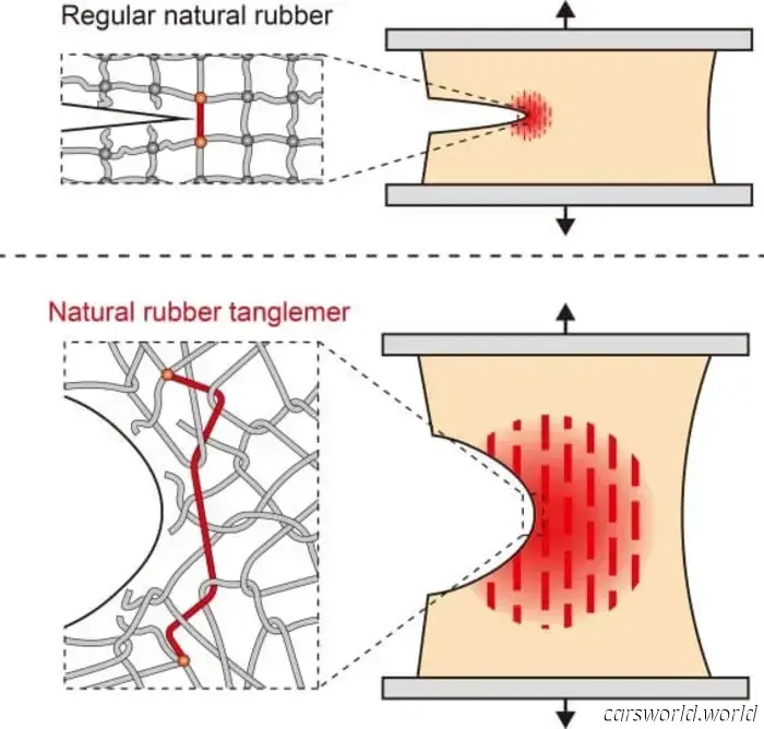 Harvard has developed a method to enhance the toughness of rubber by tenfold, which could have significant implications for the automotive industry.