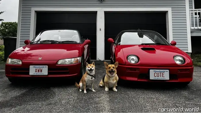 Dogs Accompanying Kei Cars Created This Adorable Family Photograph