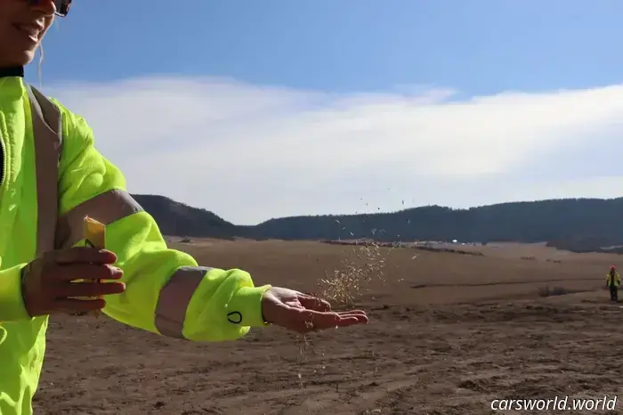 Colorado Constructed an Overpass for Wildlife to Enhance Safety