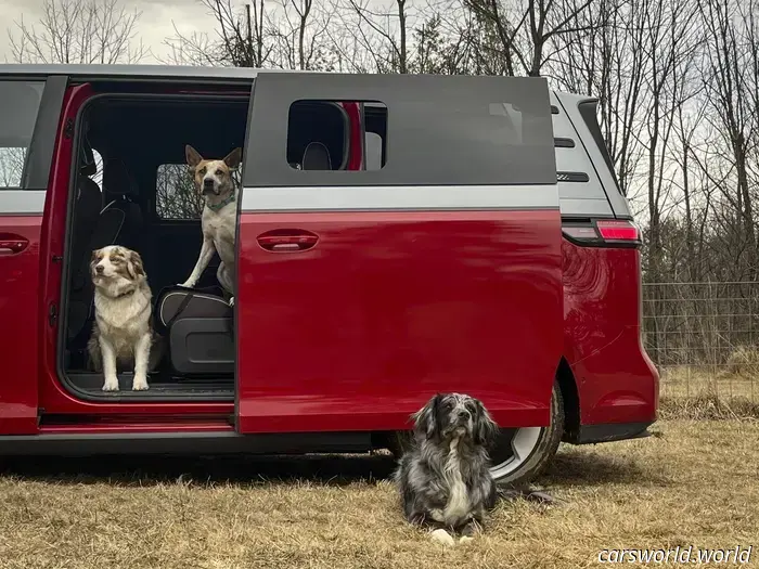 We Crammed Six Dogs into a 2025 Volkswagen ID Buzz and It Was a Hit with Everyone.